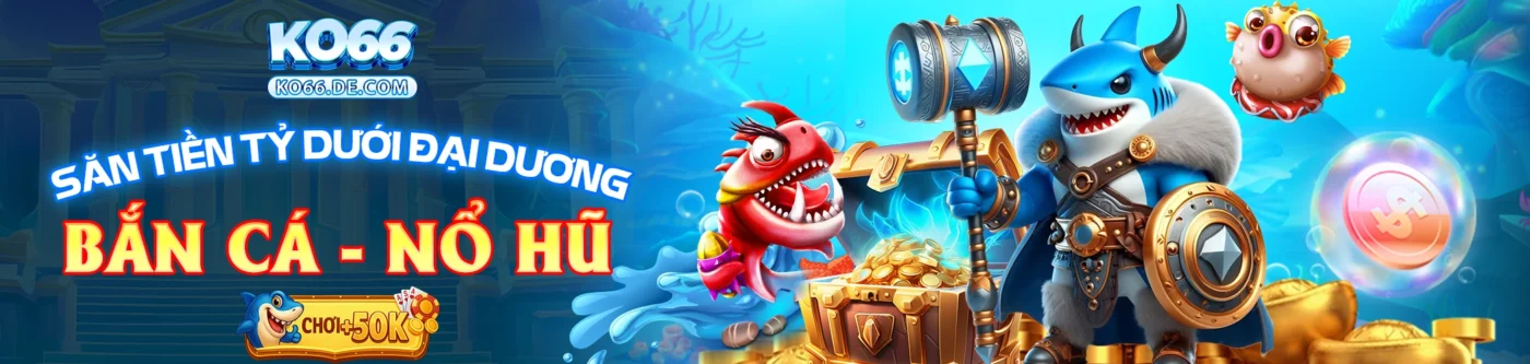 Ko66 25 Banner Ko66